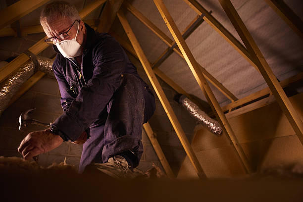 Best Specialized Insulation Services in Santa Ana Pueblo, NM